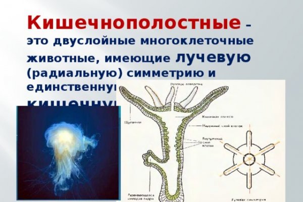 Кракен как попасть