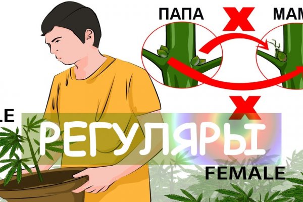 Даркнет зеркало