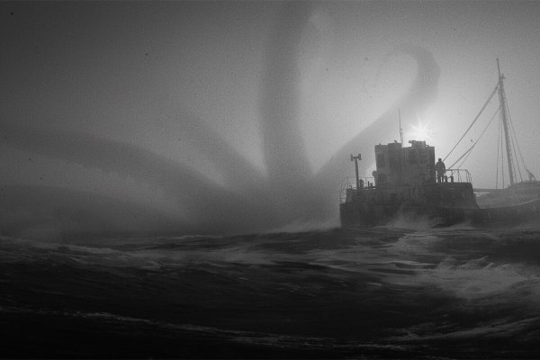 Kraken рынок