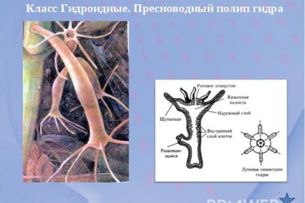 Кракен точка ат