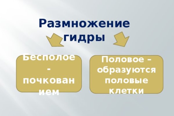 Кракен даркнет тор