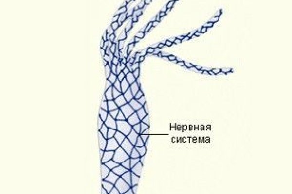 Зеркала сайта кракен tor